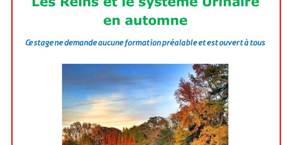 Stage Sierre